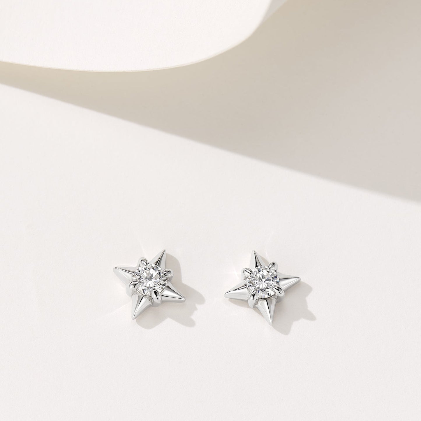 LS SILVER Earring
