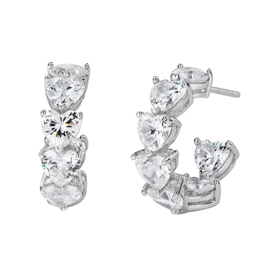 HS earrings